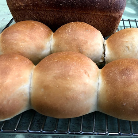 Vegan Brioche Buns